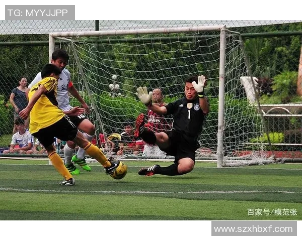 深入浅出足球规则解析助你轻松理解比赛的每一个细节